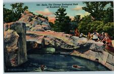 Postcard IL Brookfield Seals Exhibit Chicago Zoological Park Spectators Linen picture