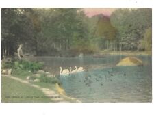 c1941 Ducks At Lunch Time Pond Westfield New Jersey NJ Hand Colored Postcard picture