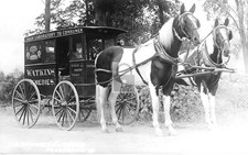 Watkins Remedies Horse Wagon Readsboro Vermont VT - Reprint picture