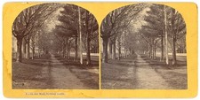 VERMONT STEREOVIEW - Hardwick - Pathway Scene - CB Cheney 1870s picture