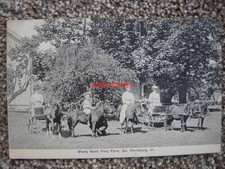 NORTH FERRISBURG VT-SHADY NOOK PONY FARM-CARTS-VERMONT-FERRISBURGH-ADDISON CO picture