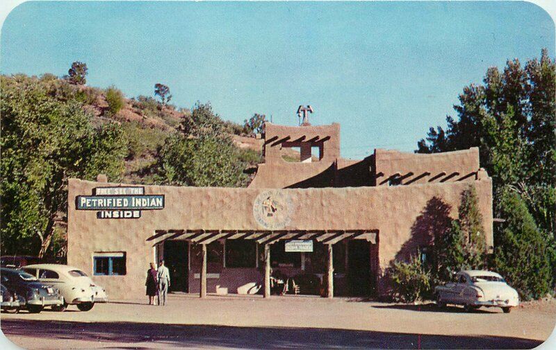 Colorado Springs Colorado Sanborn 1950s Strausenback Gardens Post Postcard 5907