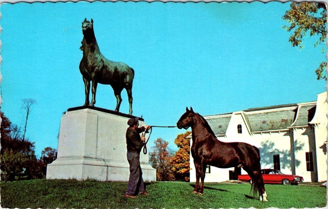 Morgan Horse Statue, University of Vermont Horse Farm, WEYBRIDGE, VT Postcard Morgan Horse Statue, University of Vermont Horse Farm, WEYBRIDGE, VT Postcard
