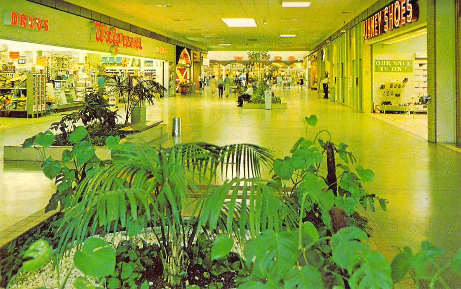 1967 IL Waukegan Belvidere Mall Wards Kinney Shoes Walgreens UNP Postcard B04 1967 IL Waukegan Belvidere Mall Wards Kinney Shoes Walgreens UNP Postcard B04