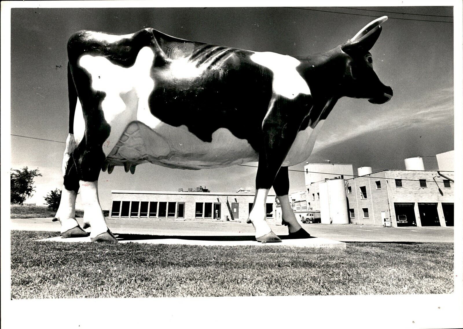 LG949 1977 Original Duane Braley Photo BONGARDS CREAMERY COW STATUE MINNESOTA