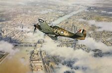 Defence of the Realm by Robert Taylor aviation art signed by Ace Peter Townsend picture