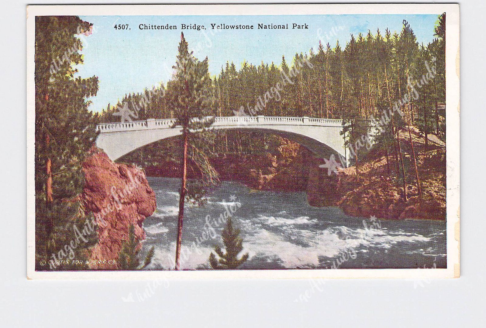 PPC Postcard WY Wyoming Yellowstone National Park Chittenden Bridge Info Card