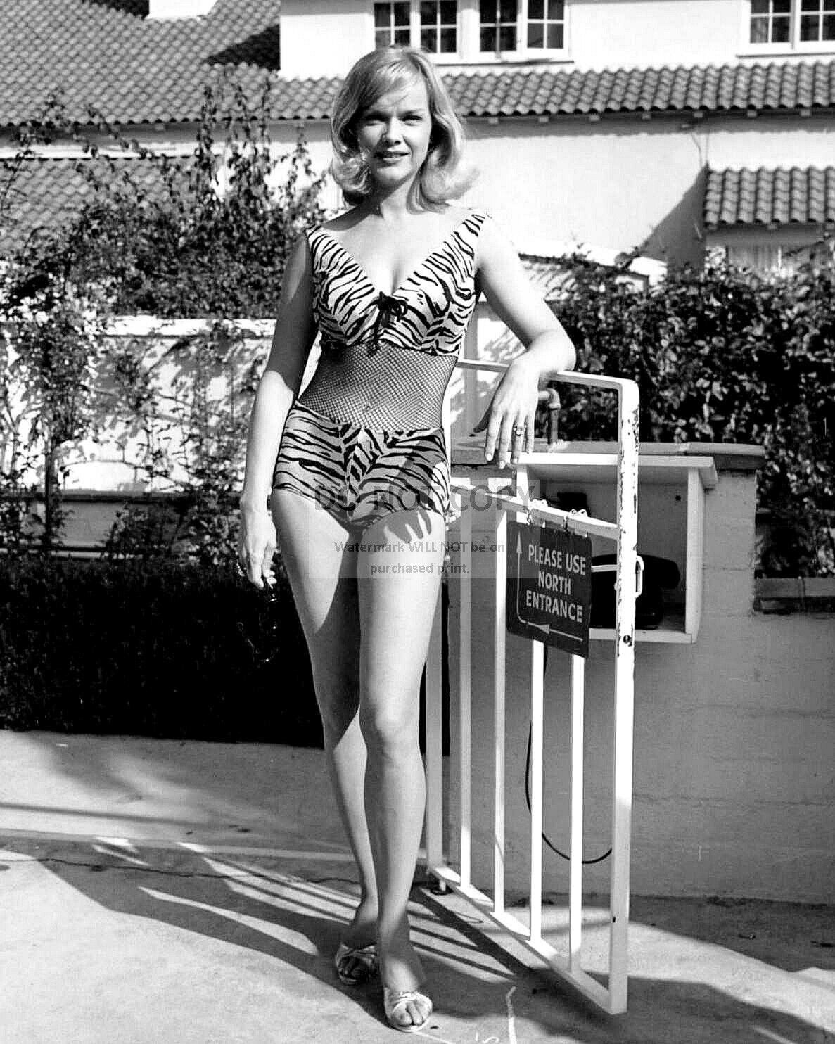 ACTRESS ANNE FRANCIS PIN UP - 8X10 PUBLICITY PHOTO (MW243)