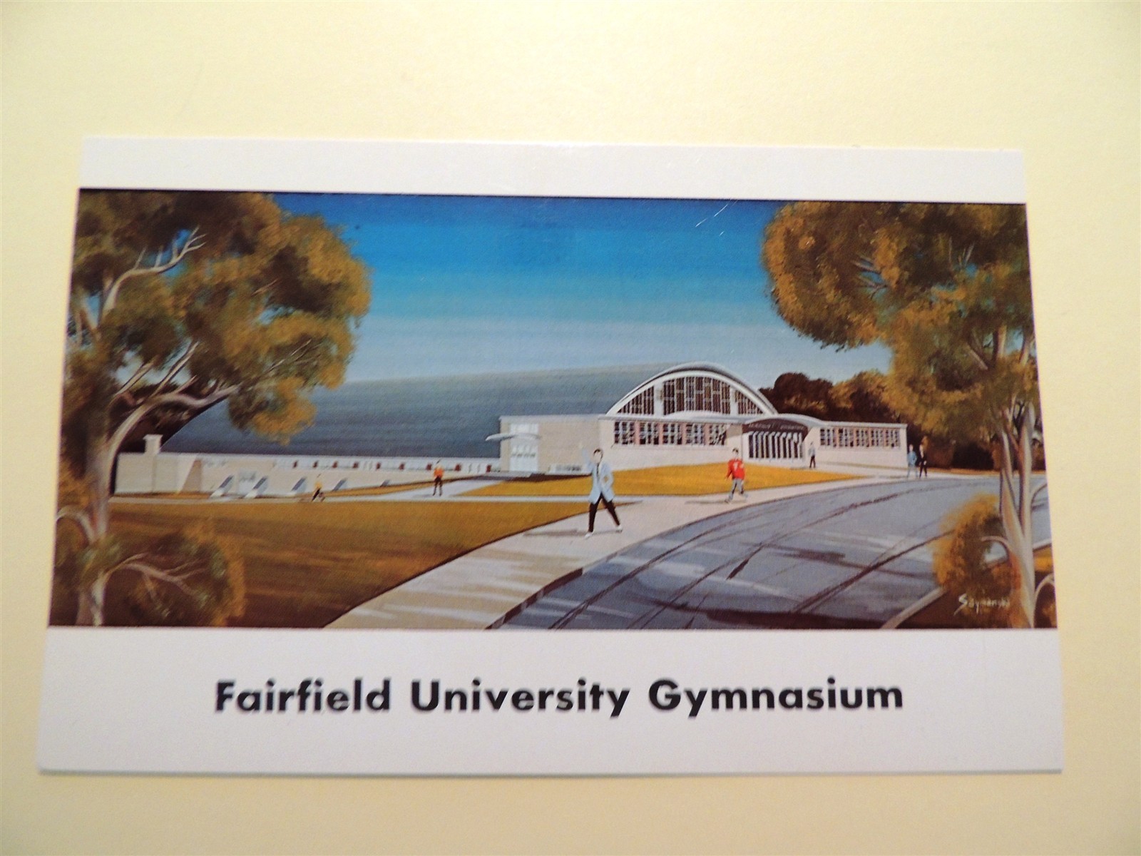 Fairfield University Fairfield Connecticut vintage postcard gymnasium 1958 Fairfield University Fairfield Connecticut vintage postcard gymnasium 1958