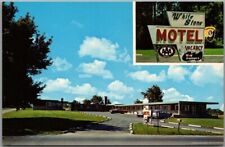 Williamsville, New York Postcard WHITE STONE MOTEL Route 5 Roadside 1950s Unused picture
