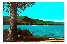 Lake Morey Fairlee Vermont Postcard Vintage Chrome Water Boat Hill Tree Nature picture