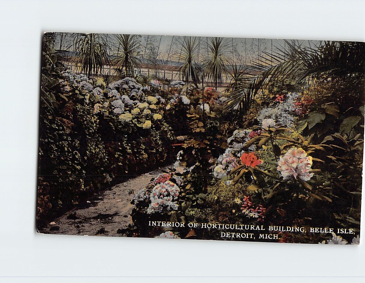 Postcard Interior of Horticultural Building Belle Isle Detroit Michigan USA