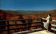 Rutland VT Green Mtns observation deck 1950s fashion fall leaves unused postcard picture