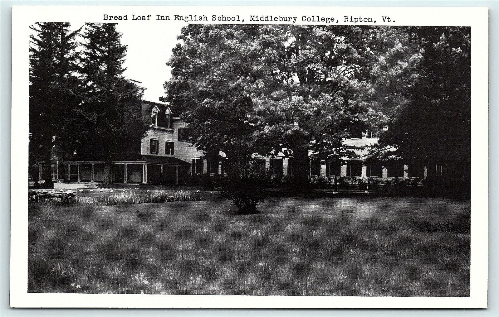Postcard VT Ripton Bread Loaf Inn English School Middlebury College R46