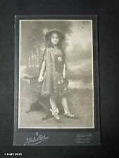 Cabinet Card Lady Costume, by Wilson Leicester Antique Victorian Fashion Photo picture