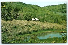 Pomfret, Vermont Springtime Blossoming Trees & Pond picture