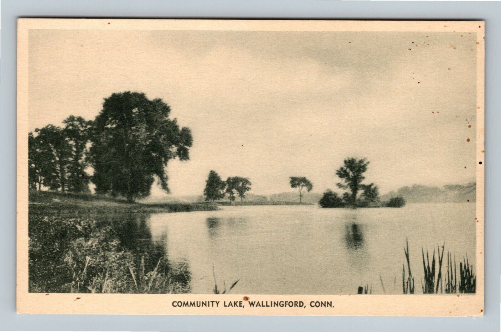 Wallingford CT, Scenic Community Lake View, Island, Vintage Connecticut Postcard