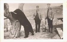 RPPC Wardsboro VT Hunting Scene Two Men with Dead Black Bear 1940s picture