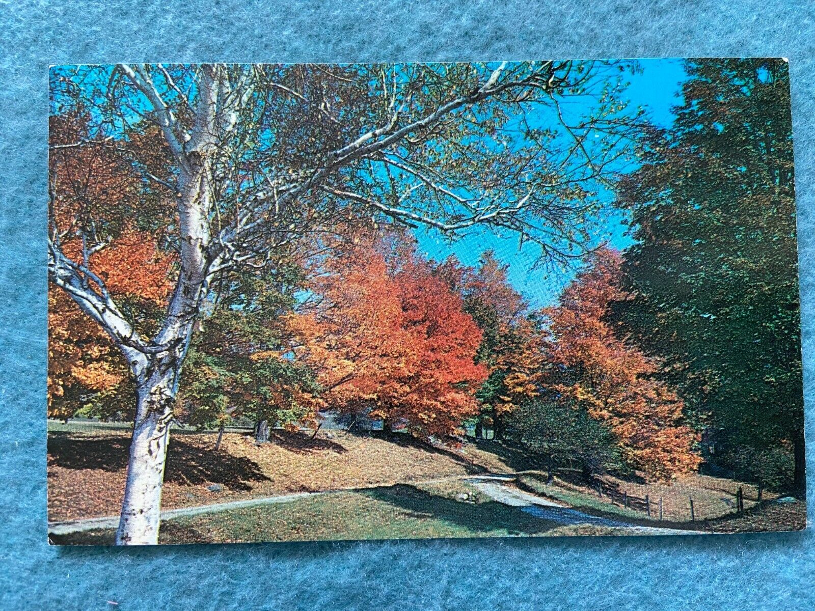 A Fall setting, Tinmouth, Vermont Vintage Postcard