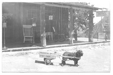 Peaceful Valley Colorado Hotel And Stagecoach RPPC Photo Postcard Sanborn R1586 picture