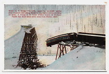 Train Wreck on S Bridge 1904 Coeur d' Alene NPRR Barnard Studio Germany Postcard picture