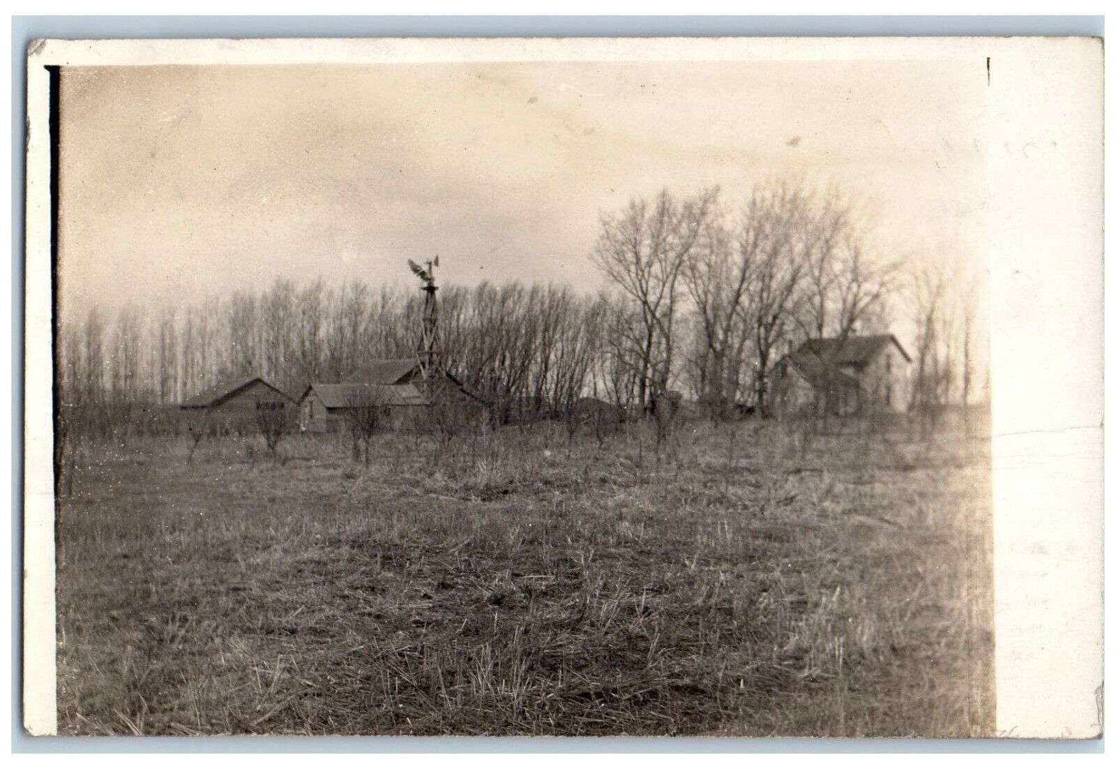 Sanborn Minnesota MN Postcard RPPC Photo Scene Field Houses And Trees 1914