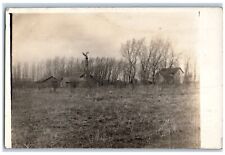 Sanborn Minnesota MN Postcard RPPC Photo Scene Field Houses And Trees 1914 picture