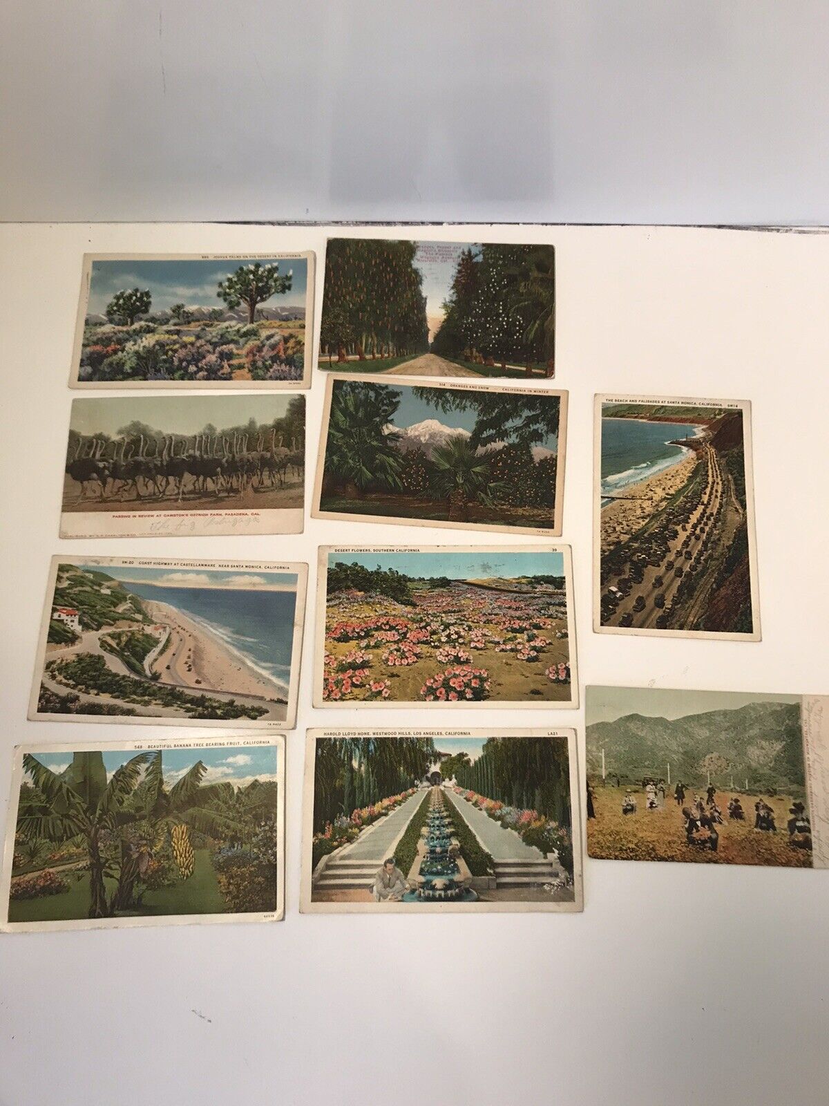 Lot Of 10 Vintage California Post Cards-Riverside, Los Angeles, Santa Monica