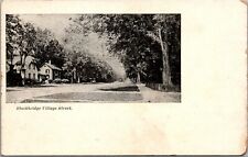 Vtg Stockbridge Massachusetts MA Village Street View pre-1908 Postcard picture