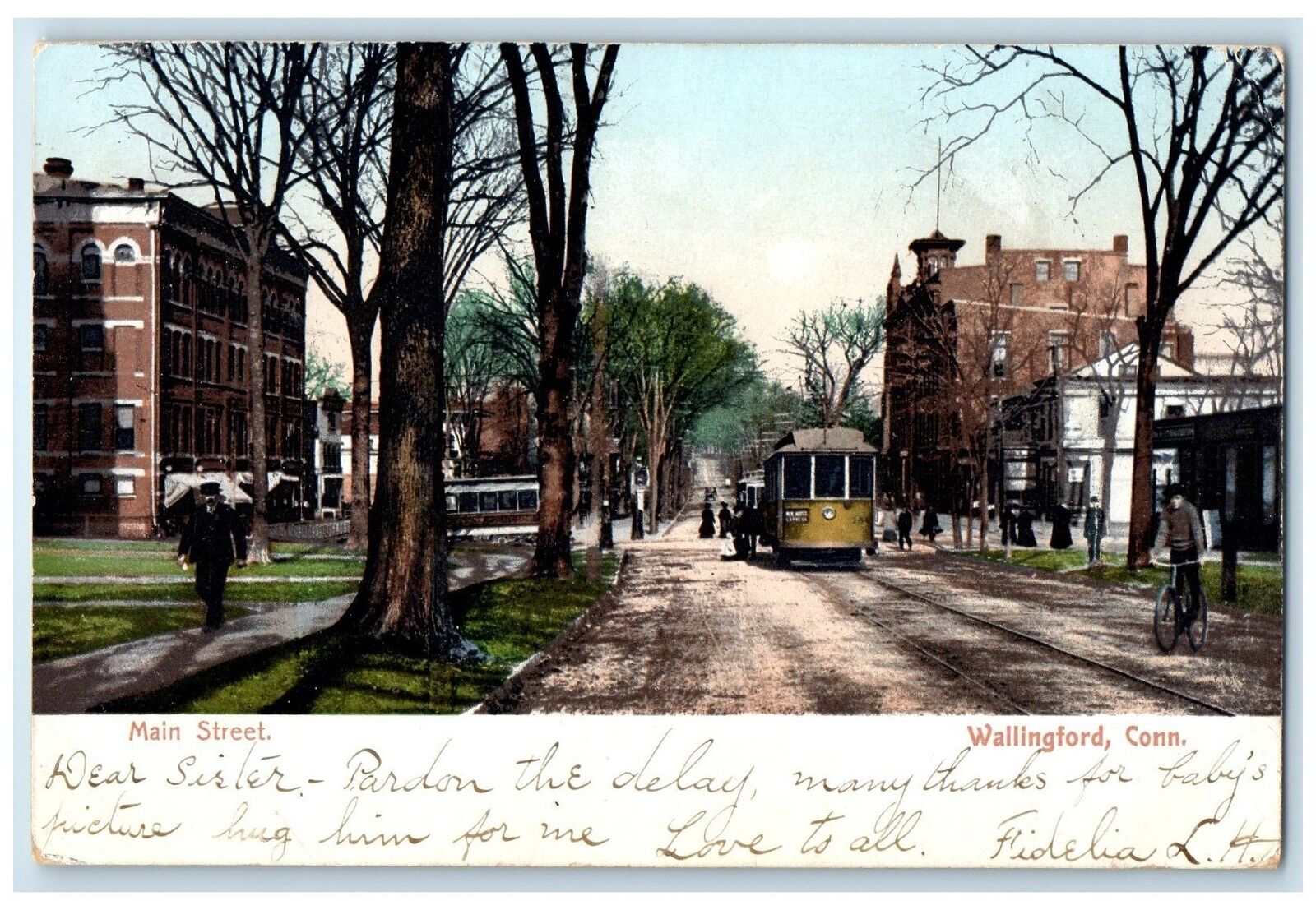 1906 Main Street Buildings Car Wallingford Connecticut CT Posted Trees Postcard