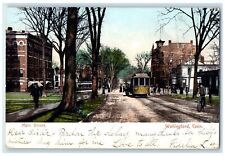 1906 Main Street Buildings Car Wallingford Connecticut CT Posted Trees Postcard picture