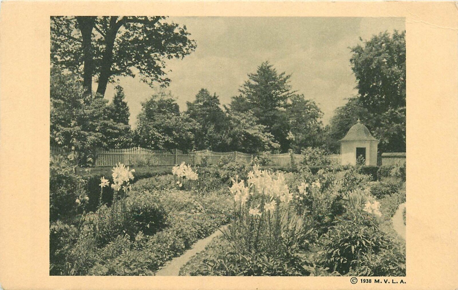 Mount Vernon Flower Garden VA Virginia Home of George Washington Postcard