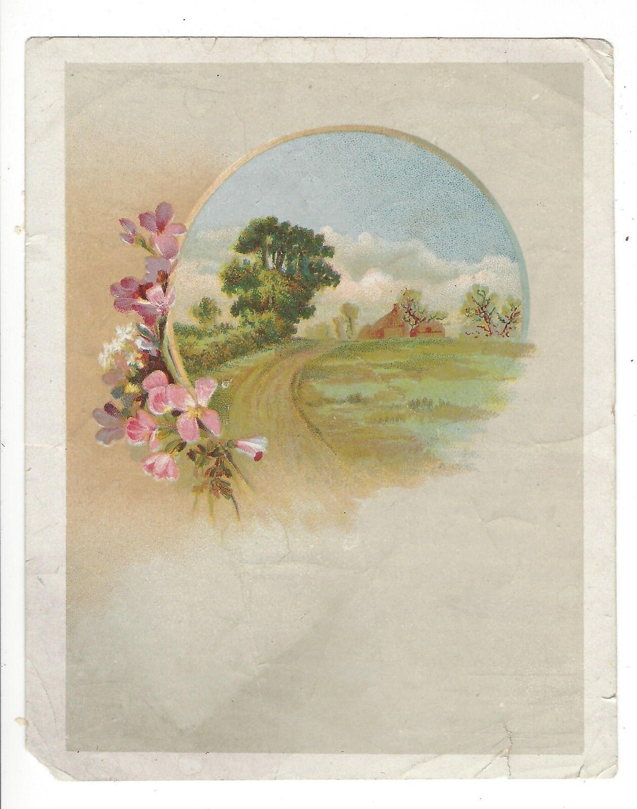 Atlantic & Pacific Tea Company Advertising Card Rochester, NY - 3 3/8\ Atlantic & Pacific Tea Company Advertising Card Rochester, NY - 3 3/8\