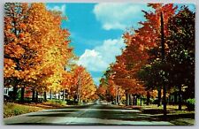 Greetings Orwell Vermont Highway Country Road Nycechrome Vintage UNP Postcard picture