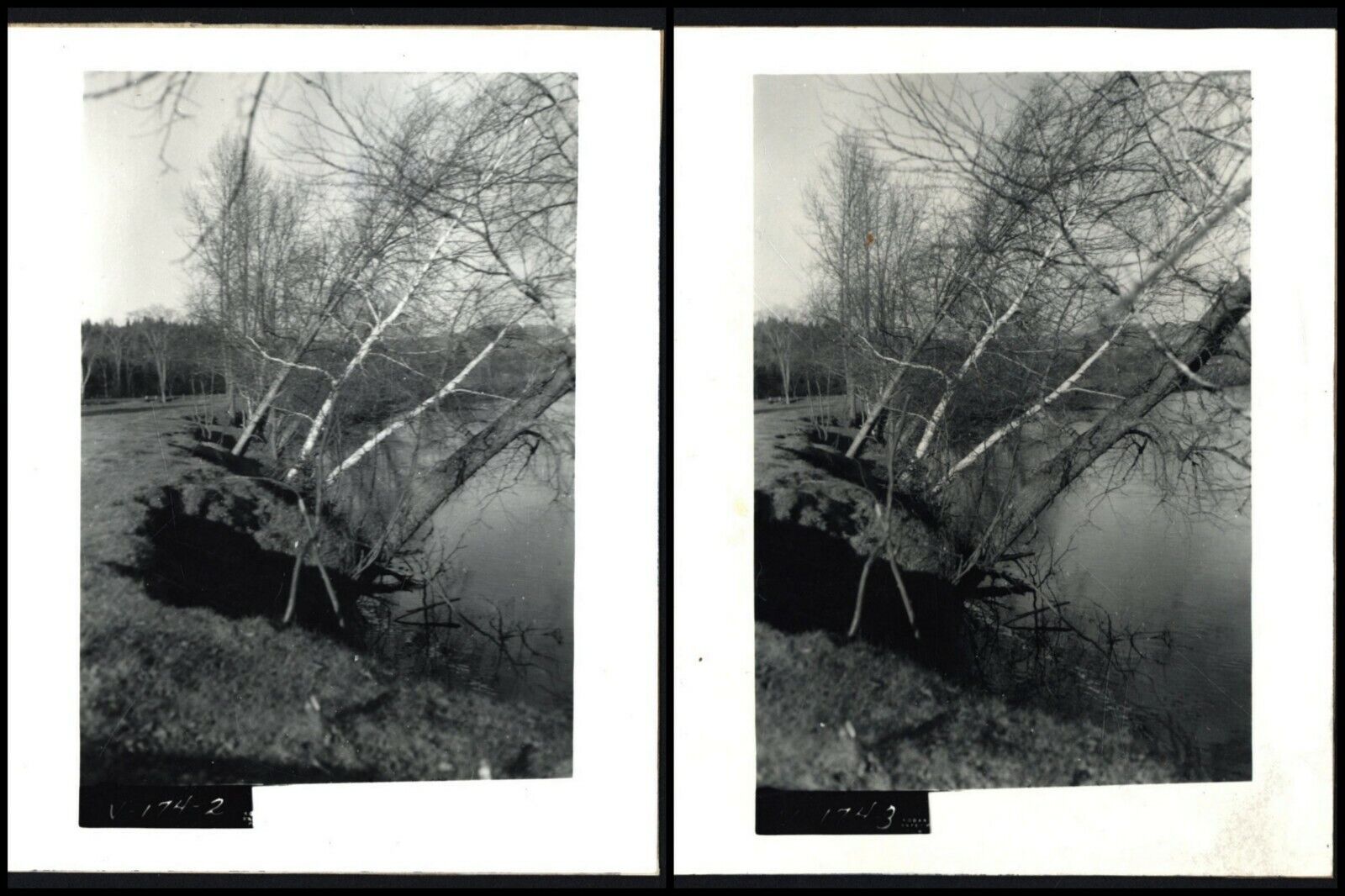 H. CORLISS  FARM - Lemington, VERMONT - 2 PHOTOGRAPHS - CT RIVER EROSION - 1959