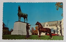 Morgan Horse Farm Weybridge Vermont Postcard Statue Live Horse Dexter Press picture