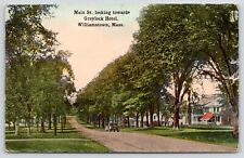 Williamstown Massachusetts~Early Auto on Dirt Main St Boulevard~Big Homes~c1910 picture