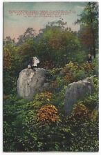 Plainfield, New Jersey, Vintage Postcard View of Washington Rock picture