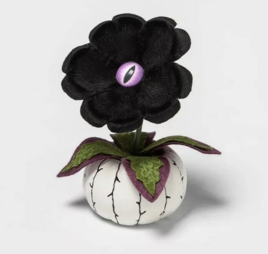Halloween HYDE and EEK WHITE pot BLACK plant Creepy Succulent faux 2020 HTF
