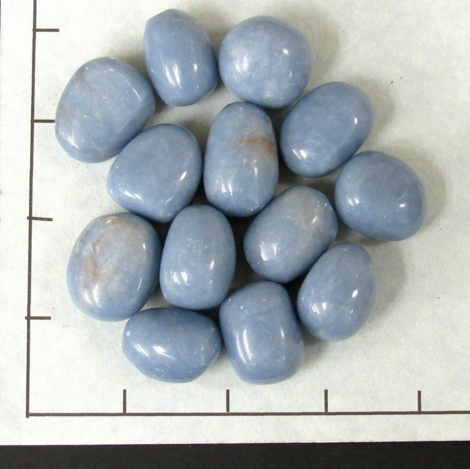 ANGELITE Blue Large tumbled 1/2 lb, bulk stones Peru 3/4-1 inch 12-14 pk