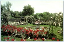 Postcard - Rose Garden, Ladew Topiary Gardens And Manor House - Monkton, MD picture