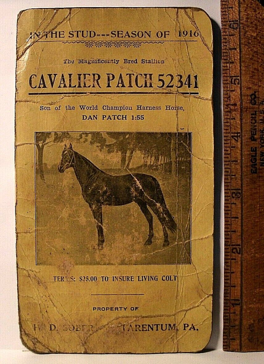 1915 SALES BROCHURE BRED STALLION RACE HORSE STUD CAVALIER PATCH 52341 