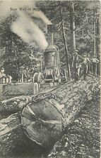 Postcard C-1910 Washington Sedro Wooley logging lumber Wheelock 24-102 picture