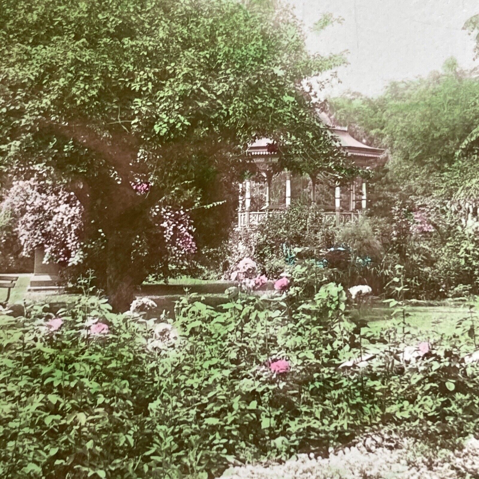 Antique 1890's Public Gardens Halifax Nova Scotia Stereoview Photo Card PC856