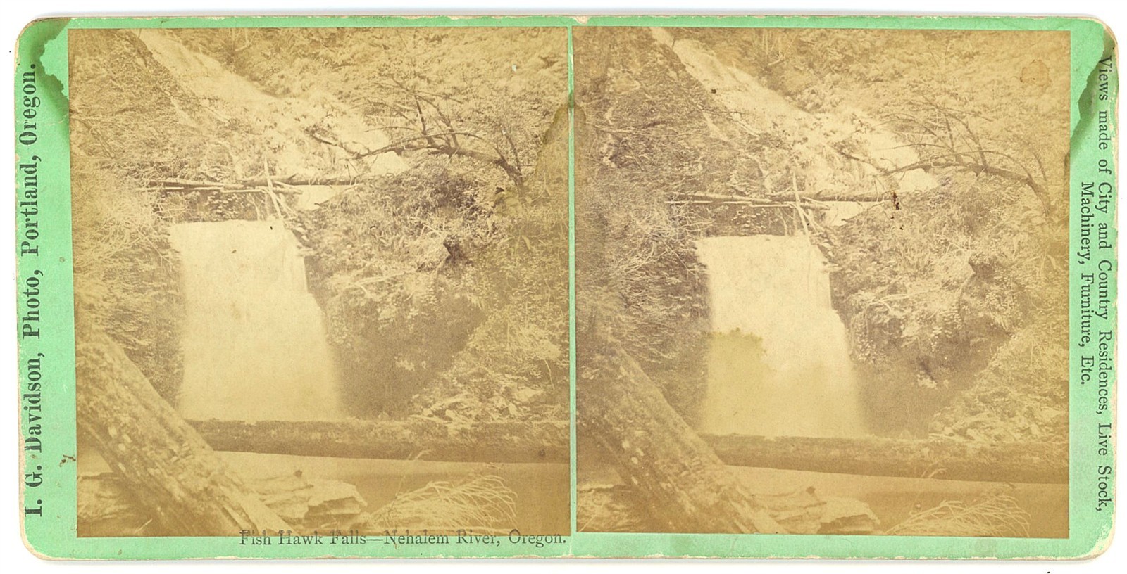 OREGON STEREOVIEW - Fish Hawk Falls - Nehalem River - IG Davidson 1880s OREGON STEREOVIEW - Fish Hawk Falls - Nehalem River - IG Davidson 1880s