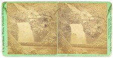 OREGON STEREOVIEW - Fish Hawk Falls - Nehalem River - IG Davidson 1880s picture