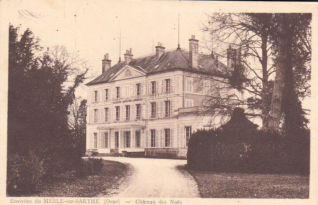 Antique postcard ORNE MESLE-SUR-SARTHE Château des Noës