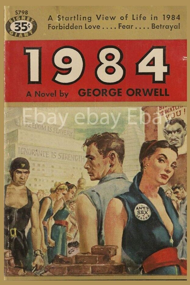 GEORGE ORWELL 1984, 1950s Pulp Novel Cover, Sexy MAGNET 2x3\