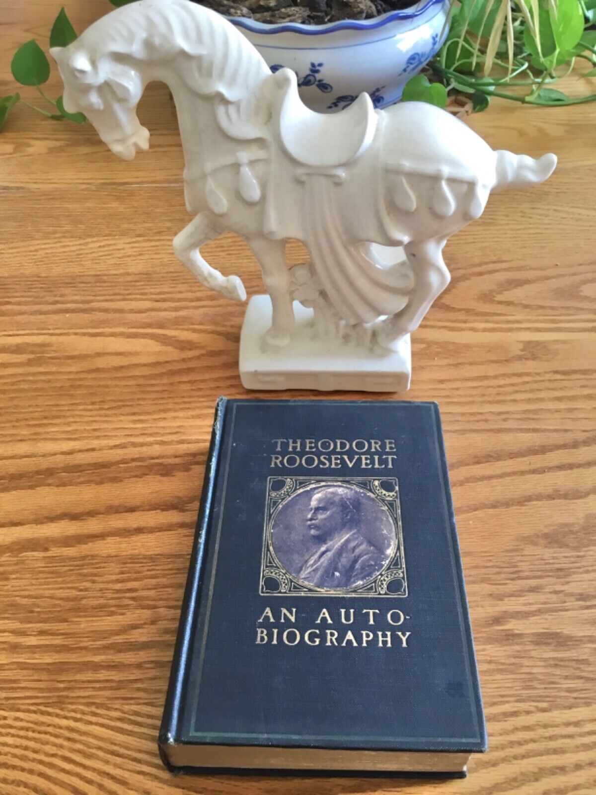 Theodore Roosevelt An Autobiography, with Illustrations, 2nd Ed, 1914, Macmillan