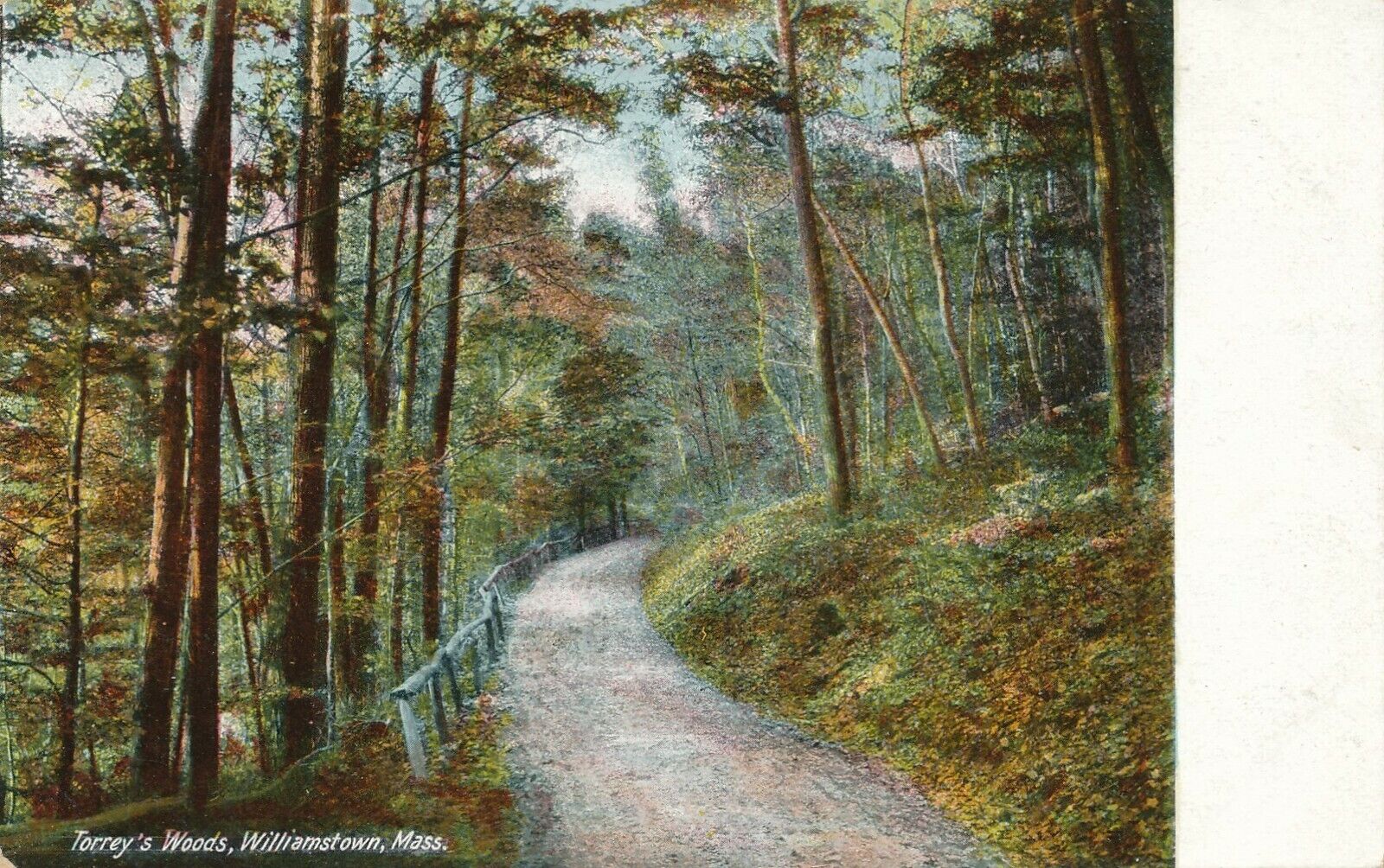 WILLIAMSTOWN MA – Terry’s Woods – udb (pre 1908)